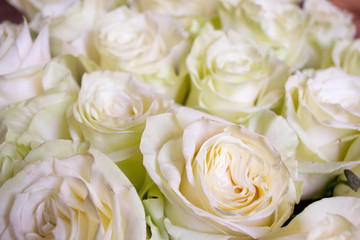 White and pink roses flower bouquet