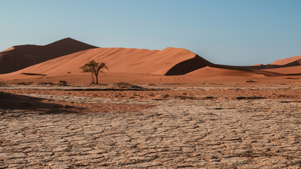 Fototapeta na wymiar Sossusvlei vertrocknetes Tsauchab Flussbett mit Sanddünen im Hintergrund