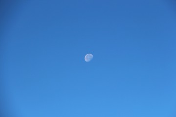 View of the old moon in the daytime sky