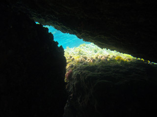 Underwater Cave entrance 