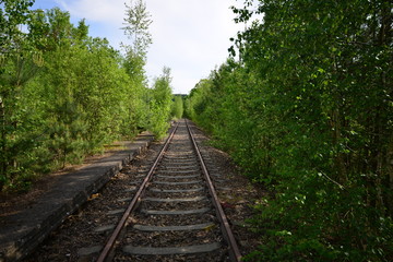 Obraz premium Lost Place