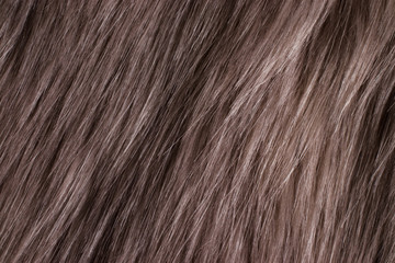 Brown fur