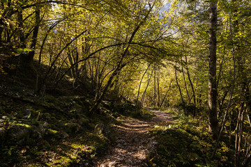 Autumn in Triglav National Park, Tolmin, Slovenia