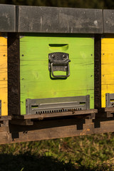 Bee box with bees in autumn in the dolomites