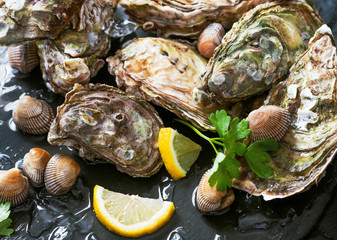 fresh oysters with lemon and parsley leaves on slate