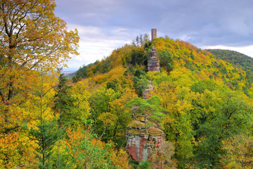 Obraz premium Scharfenberg Burg im Herbst im Pfälzer Wald - castle Scharfenberg in Palatinate Forest in autumn