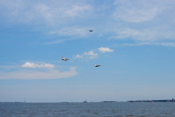 Birds fly in the blue sky over the water. Cormorants and quadrocopters fly against the blue sky over the ocean on a clear summer day.