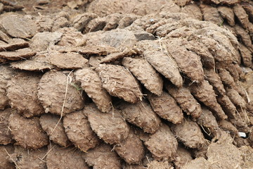 Indian cow dung cakes from Haryana
