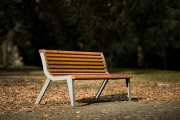 Fototapeta premium Bench in park, resting in nature background.