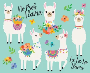 Foto auf Alu-Dibond Cute llamas or alpacas with colorful spring flowers hand drawn vector illustration. © JungleOutThere