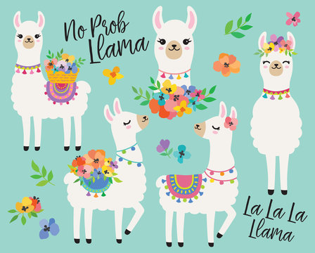 Cute llamas or alpacas with colorful spring flowers hand drawn vector illustration.
