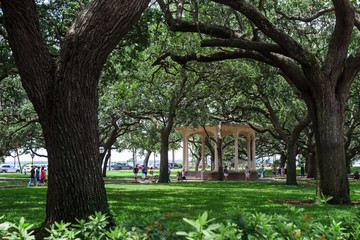 Fototapeta na wymiar Gazebo in the park among the huge trees. People walk in the park on a sunny summer day. Charleston, SC / USA - July 21 2018