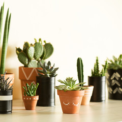 Modern and stylish composition of home garden filled a lot of plants in different hipster pots. White background wall with copy space. Nature love. Flower and botanical concept.