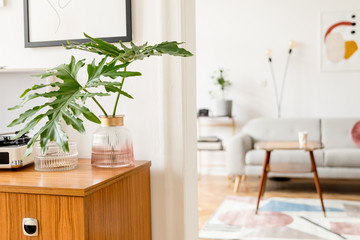 Stylish retro interior of living room with design  commode, vinyl recorder, tropical leaf and mock up posters frames on the white walls. Cozy room with brown wooden parquet and plants.