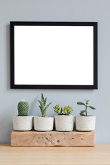Botanical home interior with mock up poster frame on the brown wooden table with composition of cacti and succulents in stylish cement pots. Grey walls. Stylish and floral concept of home garden.