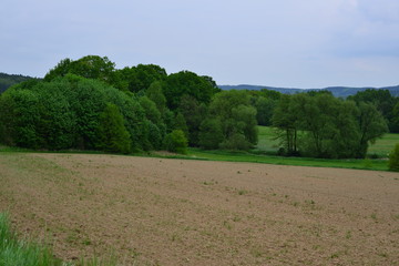 Fototapeta na wymiar Landschaft Oberlausitz