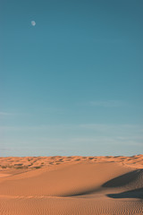 Fototapeta premium Beautiful day in the Sahara Desert during an adventure trip