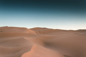 Fototapeta na wymiar Most beautiful sunset in the Sahara Desert, sandy dunes in Tunisia