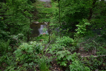Obraz premium Landschaft Oberlausitz