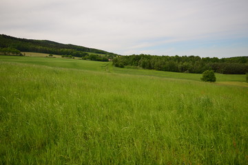 Landschaft Oberlausitz