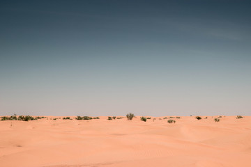 Fototapeta na wymiar Beautiful day in the Sahara Desert during an adventure trip