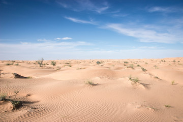 Splendid sky in the Sahara Desert, most beaufitul dunes in Africa