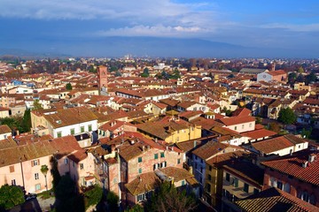 Fototapeta na wymiar veduta dall'alto del centro storico della città italiana di Lucca vista dalla medievale Torre Guinigi