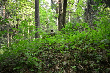 Landschaft Oberlausitz