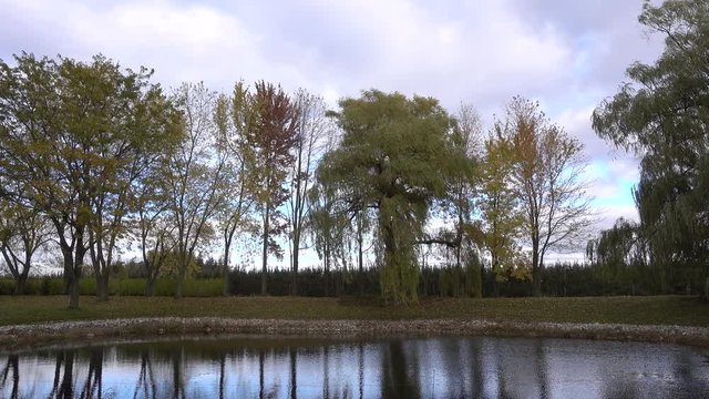 4K Pond With Ripples In Front Of Trees