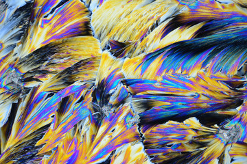 Photo through a microscope of crystals grown from a solution of sulfo-salicylic acid in alcohol....