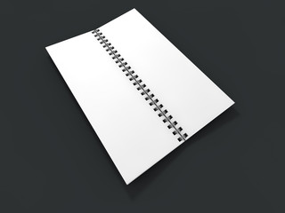 Blank notebook on dark background. 3D