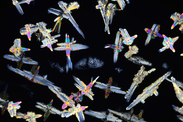Photo through a microscope of crystals grown from a solution of CuCl in alcohol. Polarized light...