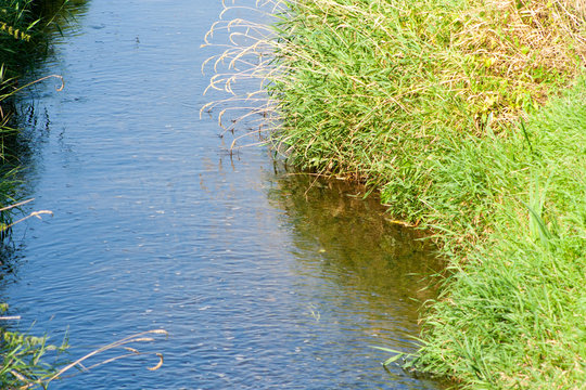 beautiful blue and narrow river flowing between the grass. Narrow and small stream on the meadow.