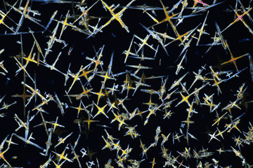 Photo through a microscope of crystals grown from a solution of CuCl in alcohol. Polarized light...