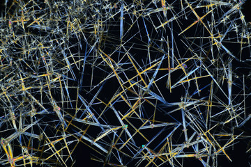 Photo through a microscope of crystals grown from a solution of CuCl in alcohol. Polarized light technology.