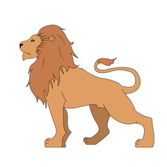 Lion vector illustration