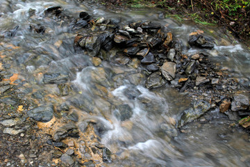Arroyo