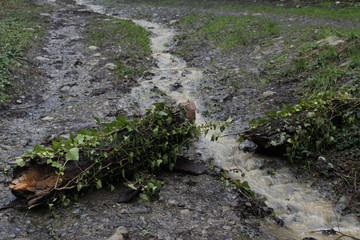 Arroyo