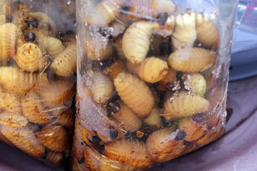 Grub worm in a plastic bag at the fresh market.