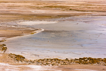 Laguna en desierto de Chile © Manuel Soler