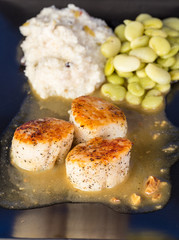 Scallops sautee golden brown with lima beans and grits