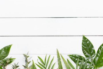 Beauty and fashion concept with spa set on pastel rustic wooden background.