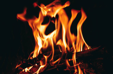 Fototapeta na wymiar Colorful flame, log burning on fire, backdrop. Fire in fireplace, closeup.