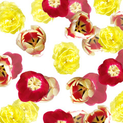 Beautiful floral background of tulips 
