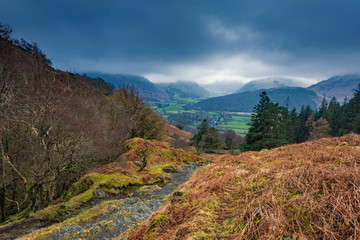 Fototapete bei efototapeten.de bestellen   