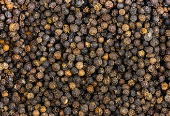 black peppercorn background condiment india asia traditional spicy base culinary site design menu