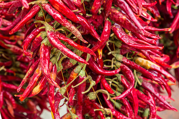 set garland hot red chili paprika background colorful fresh stems base sauces colorful pattern