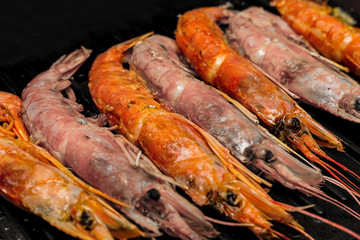 Mix red pink langoustine large marine delicacy delicious diet dinner closeup culinary background