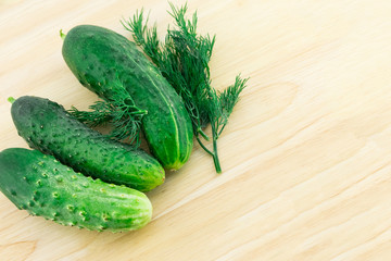 group of fresh green cucumbers appetizing appetizer salad dill on a wooden board culinary background
