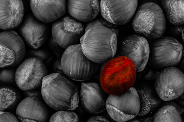 single one among many copy space dark base toning set hazelnut red special contrast background design